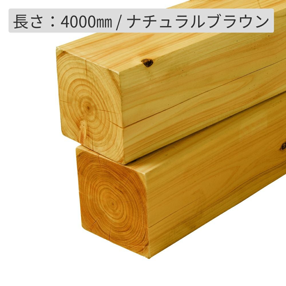 000000000555-01.jpg?size=l&w=