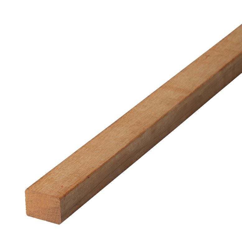 000000001239-01.jpg?size=m&w=